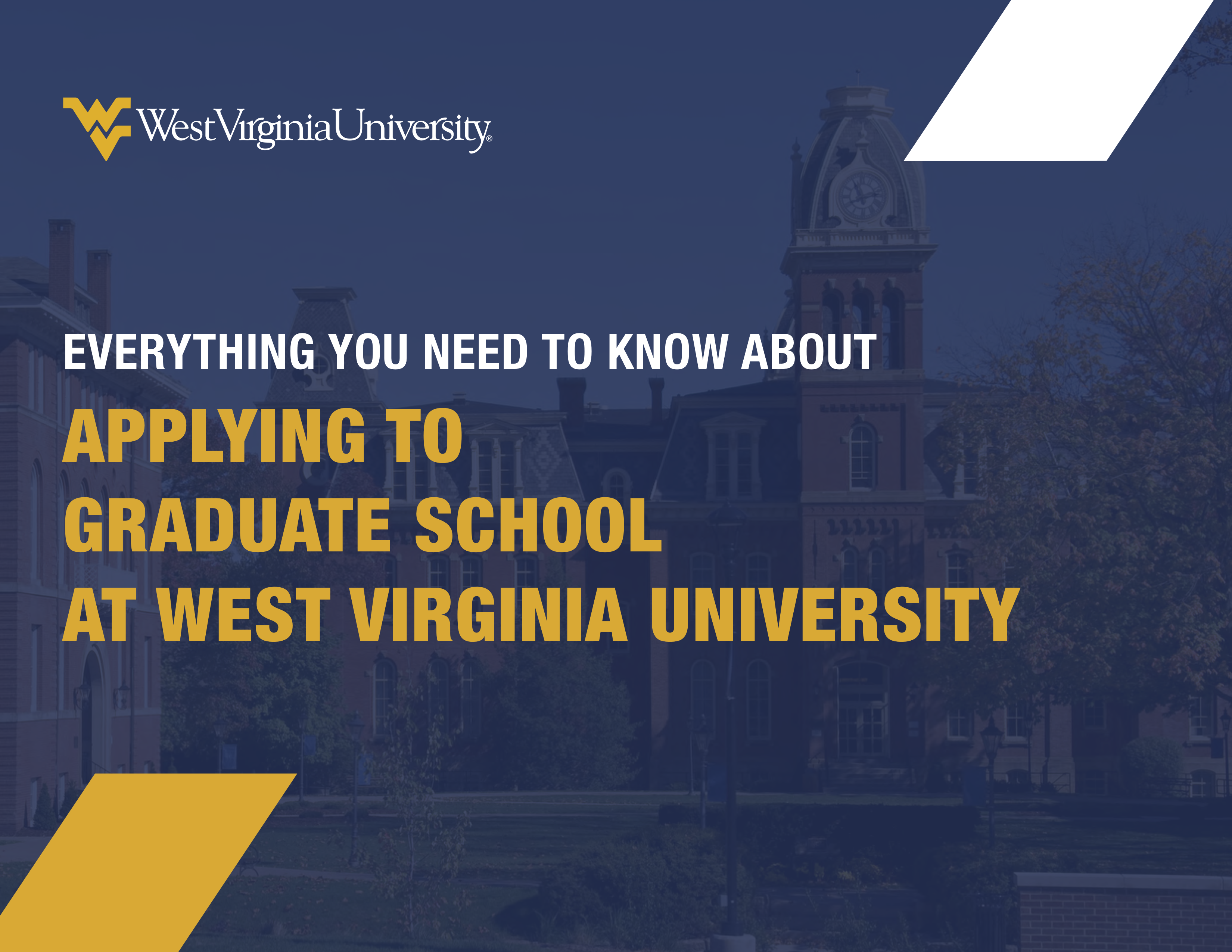 Download Everything You Need To Know About Applying To Graduate School ...